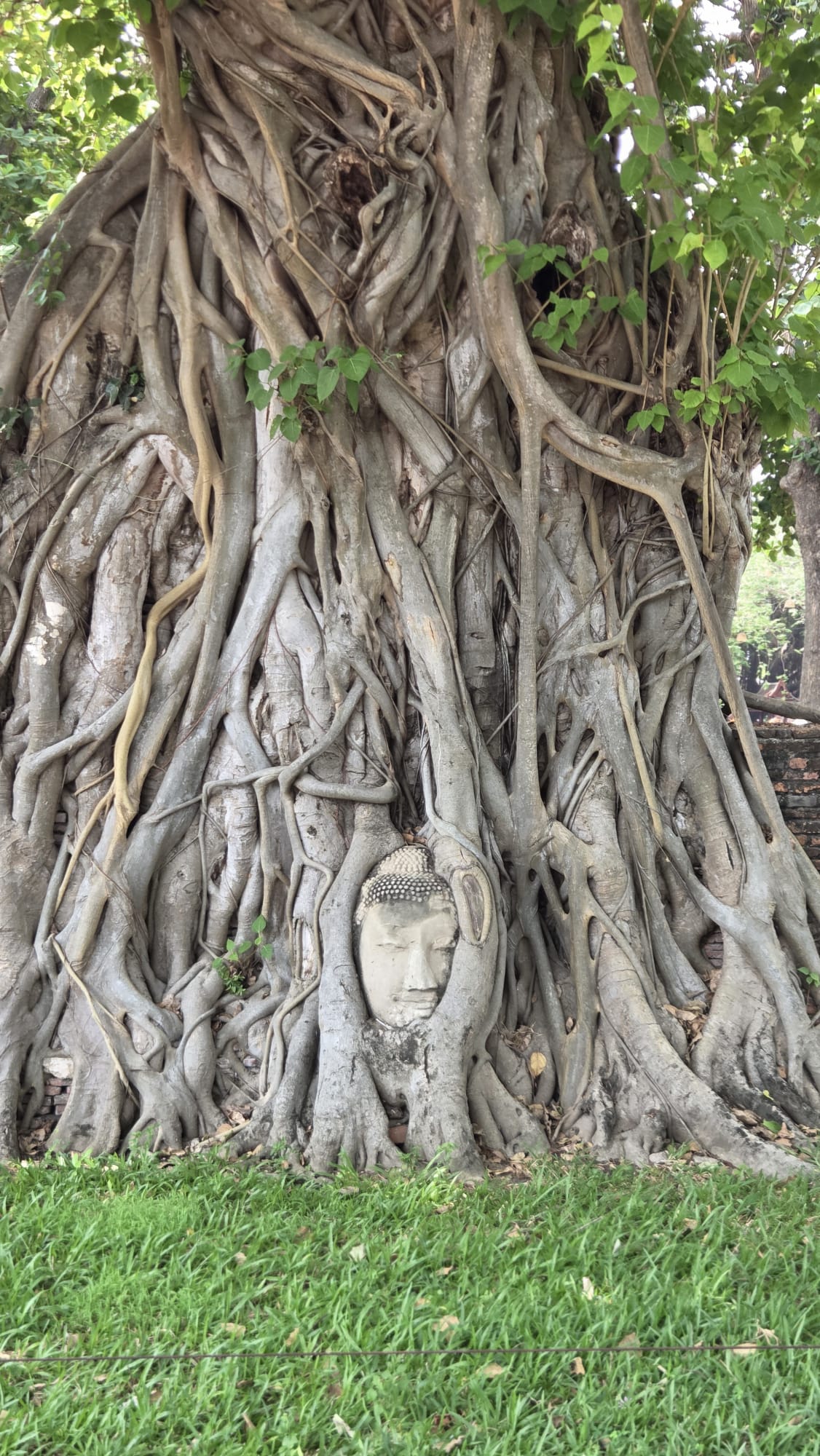 Wat Mahathat en el antiguo Reino de Ayutthaya.