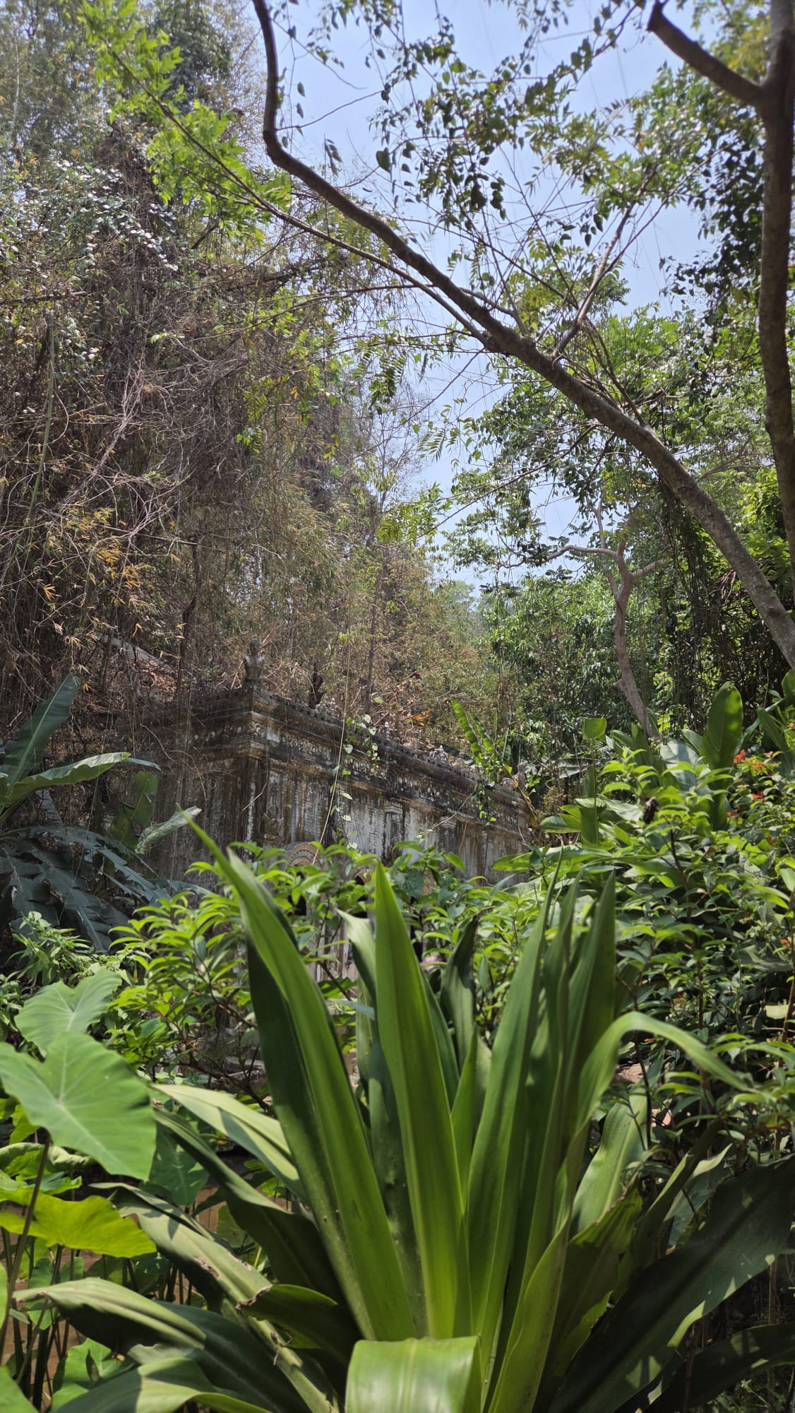 Wat Pha Lat en Chiang Mai, el templo en la selva
