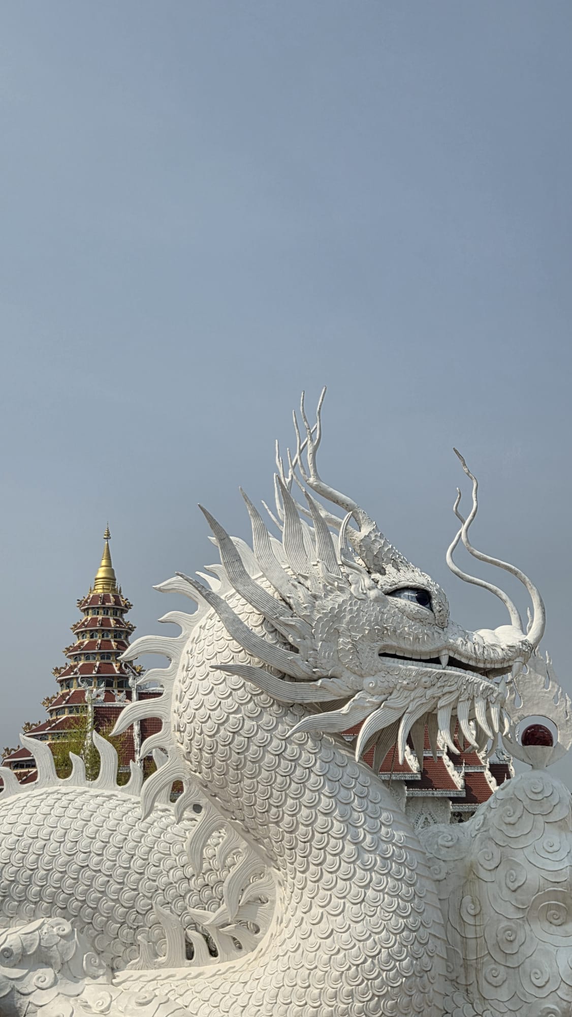 Imagen de Naga en el templo rojo de Chiang Rai, Tailandia